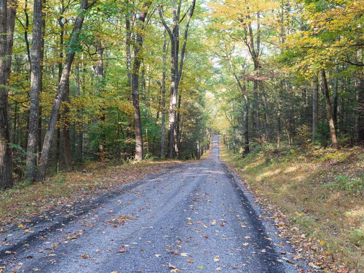 Turkey Hill Road trail photo