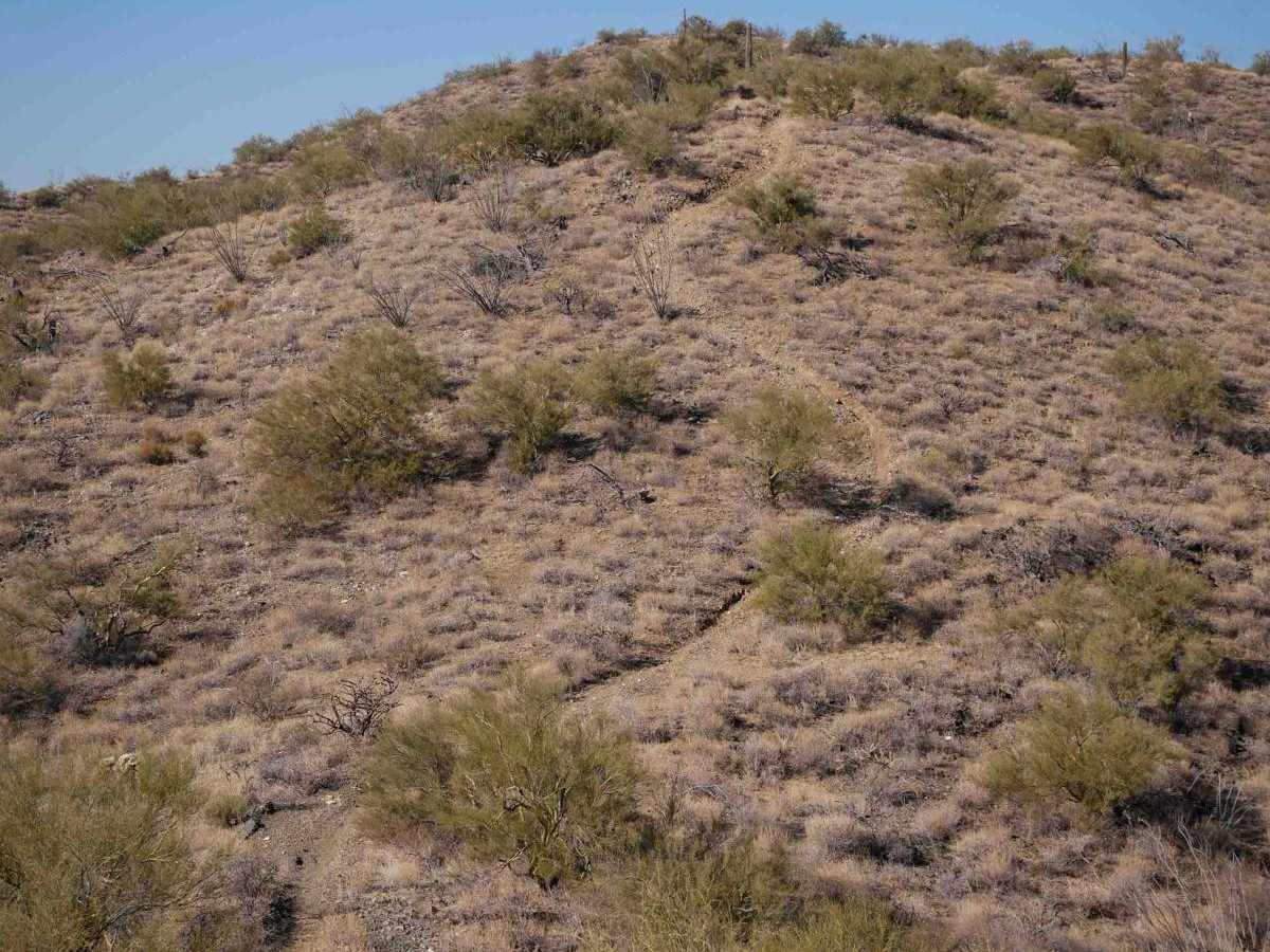 Sim's Trail photo 5