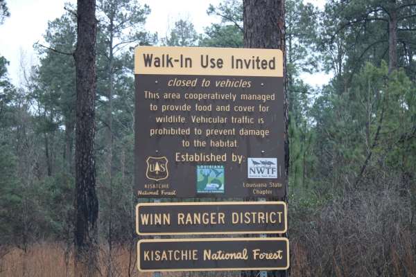Gum Springs and Crooked Roads