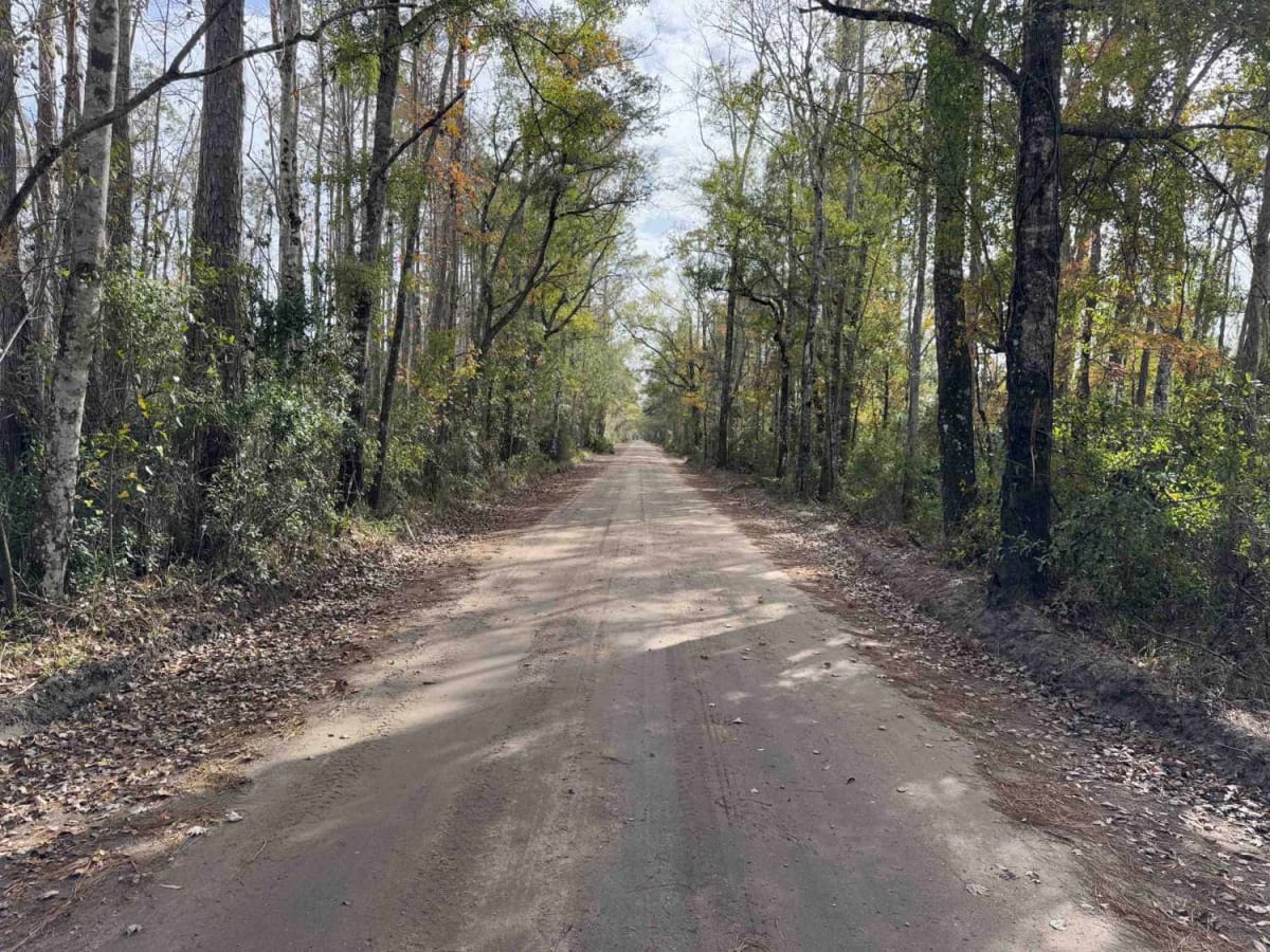 Old Brick Road photo 5