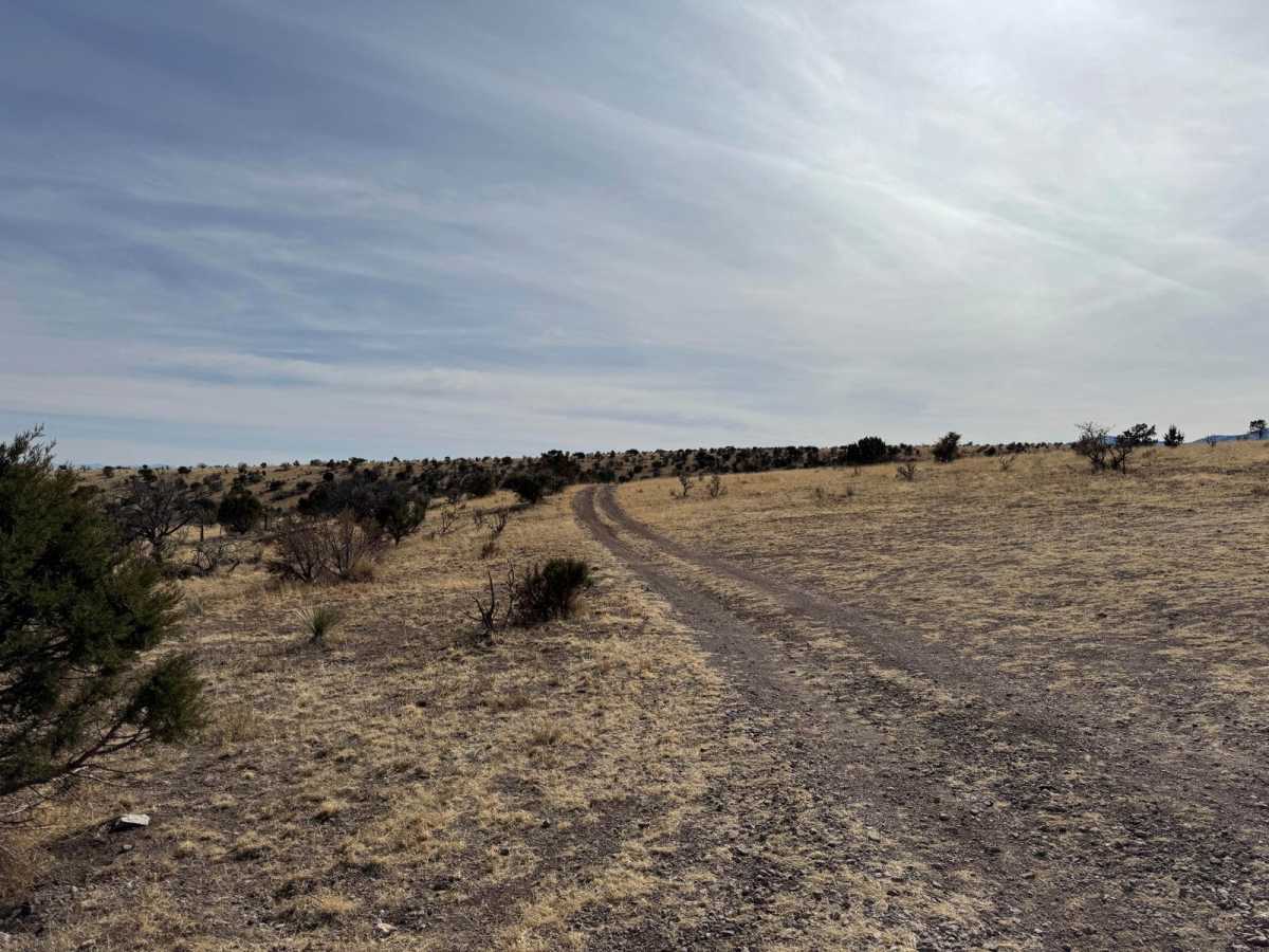 FR1026 trail photo