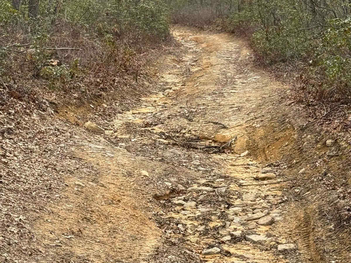Wolf Run Supply Trail photo 4