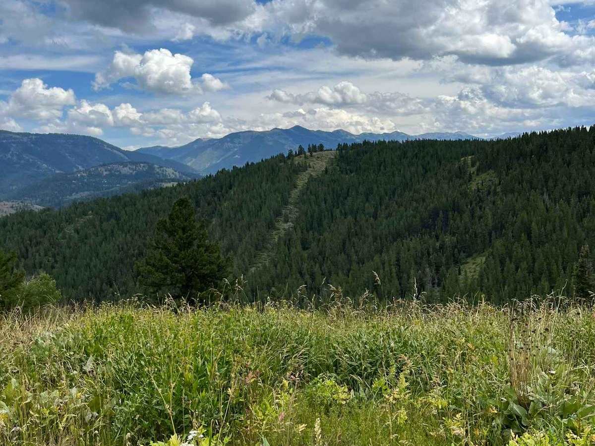Lower Cabin Creek photo 4
