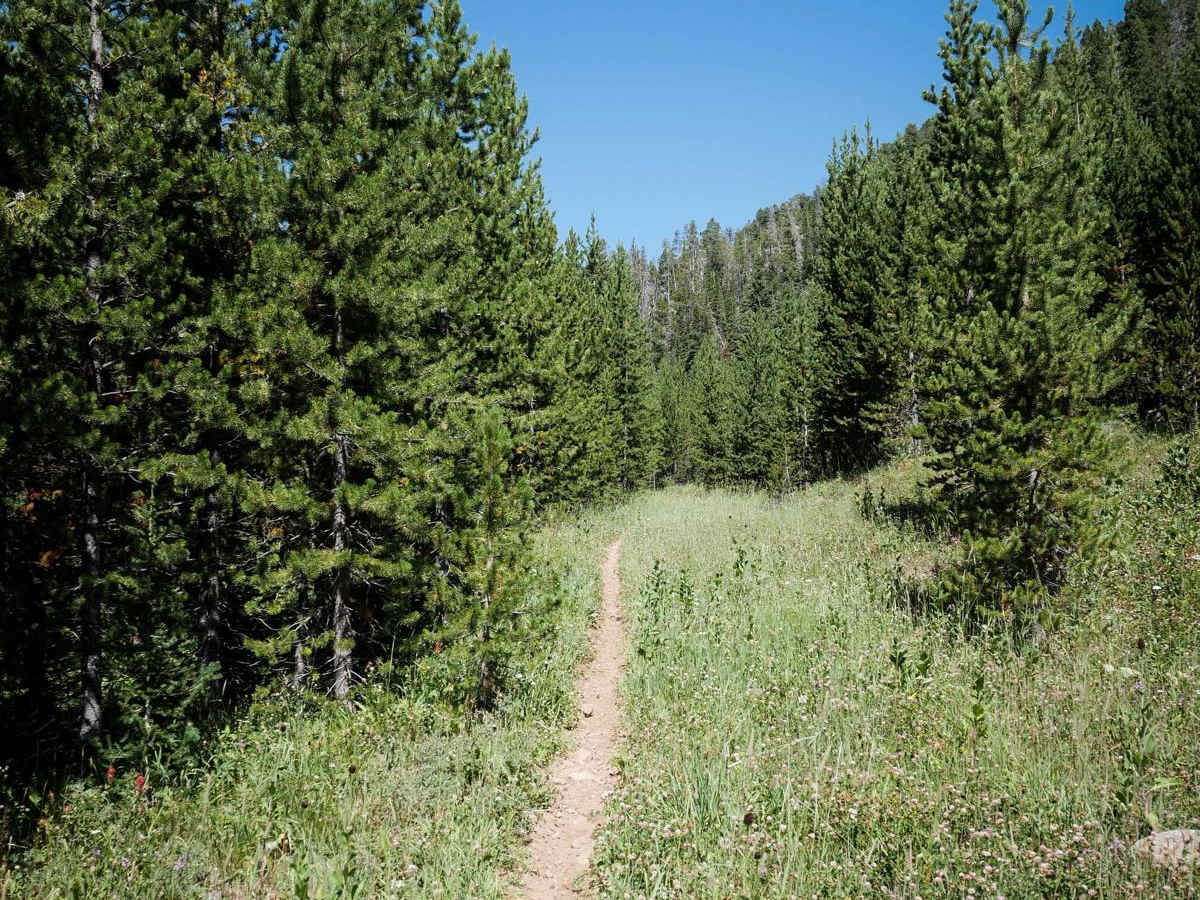 Cinnamon Meadow photo 5
