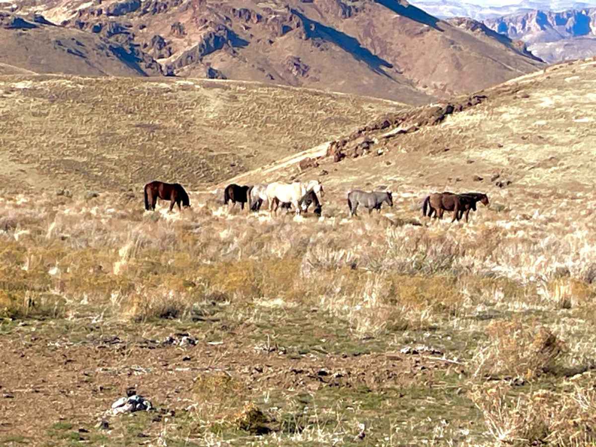 Gunsight Pass photo 3
