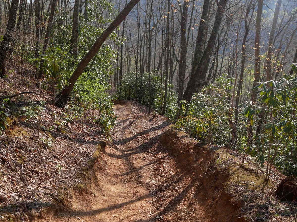 Trail 8 (Most Difficult - One Way) photo 2