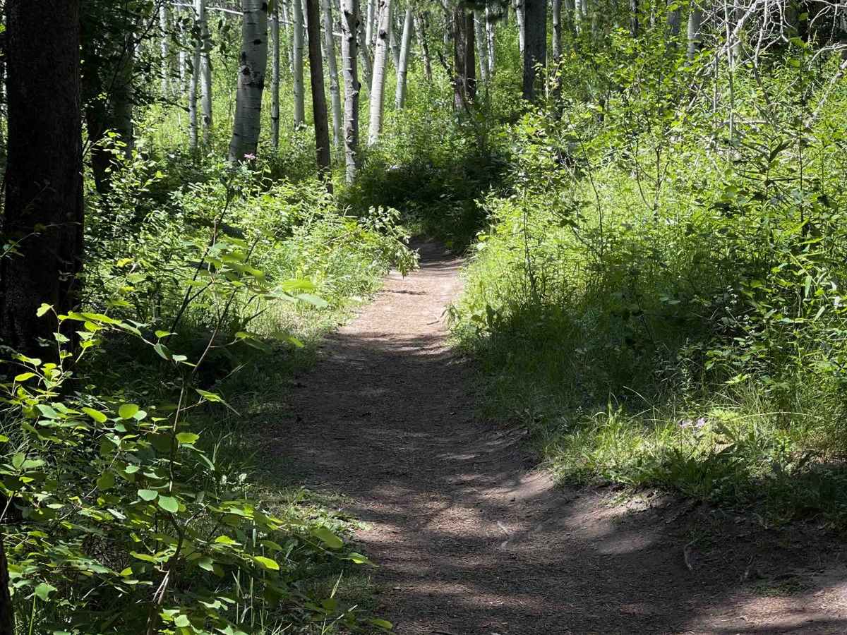 Poison Creek photo 3