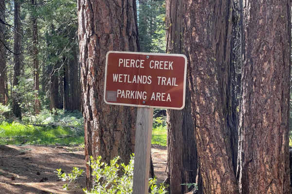 Pierce Loop