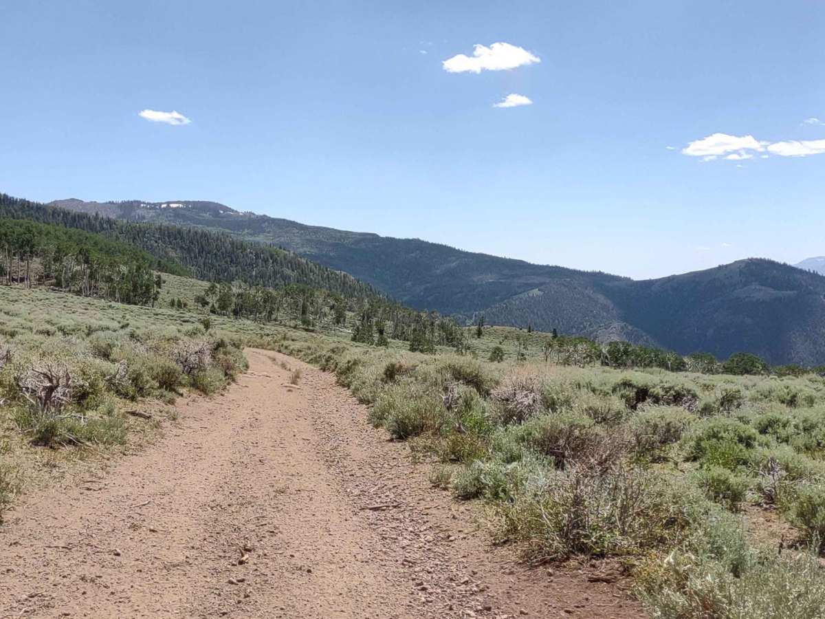 Hunts Lakes Loop - FS 40075 photo 5