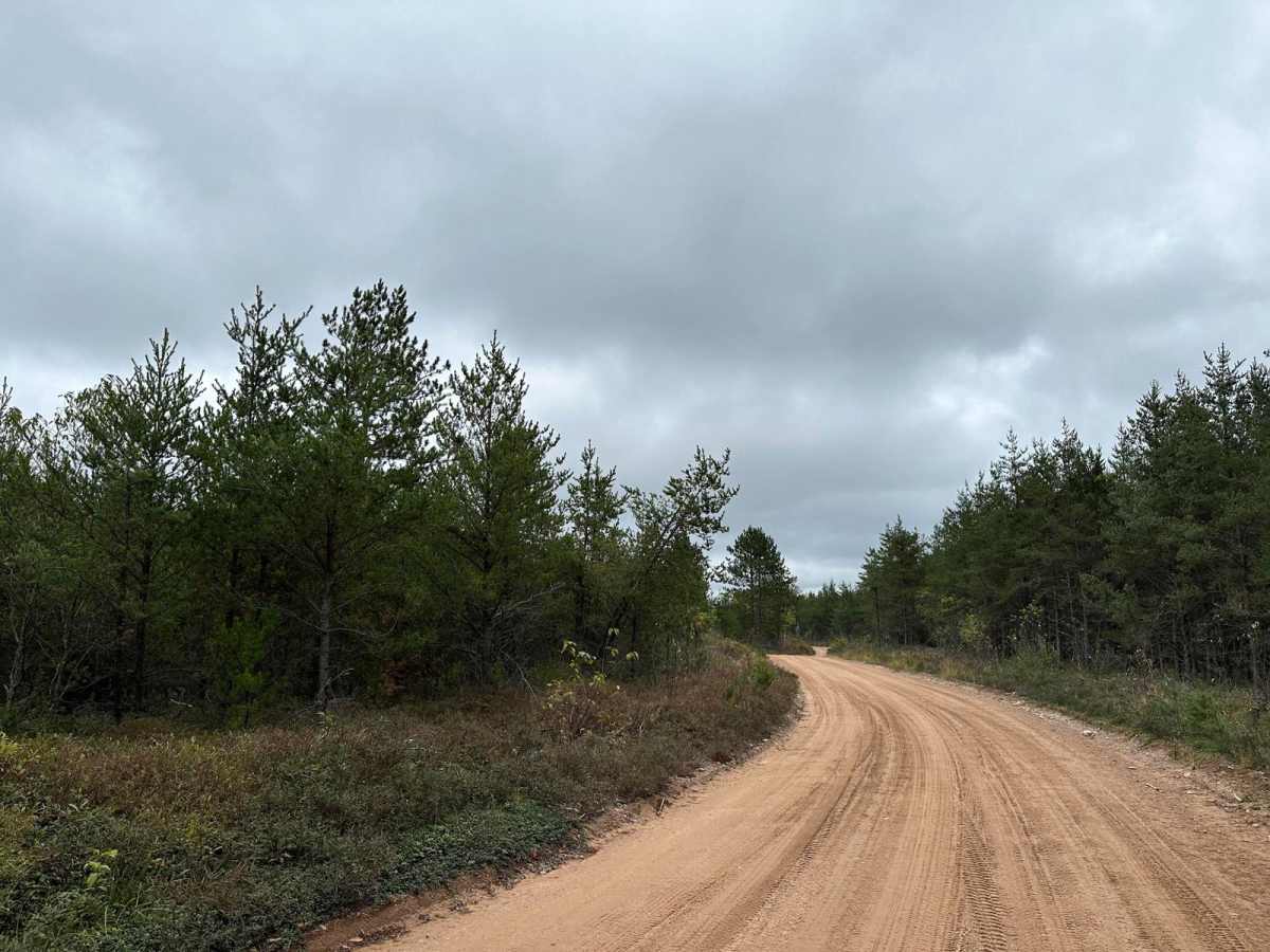 Hemmings Lake Road trail photo