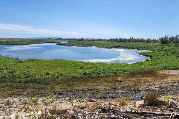 Bird Reserve