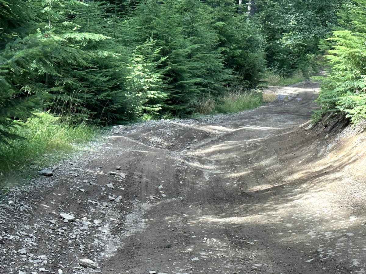 Road 99 photo 2