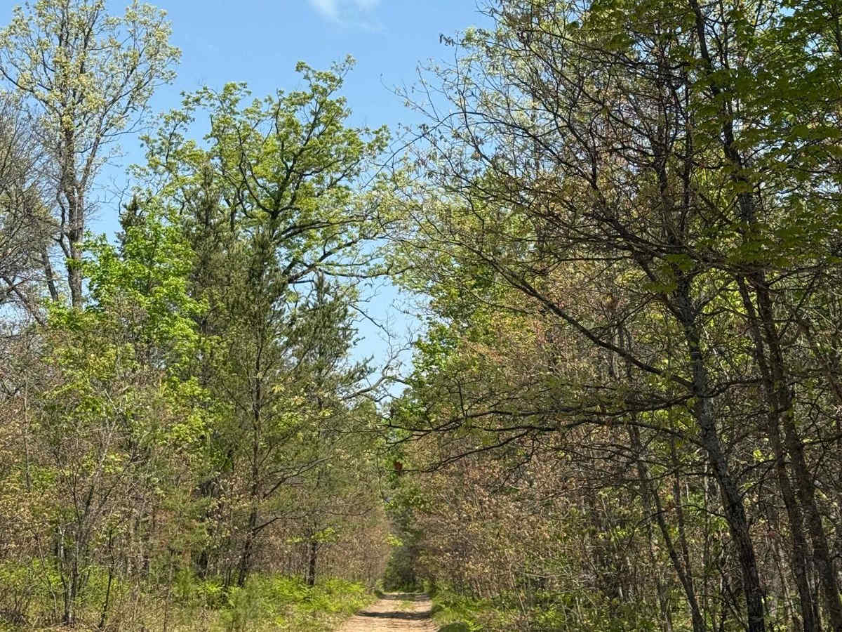 MCCCT Connector Trail photo 3