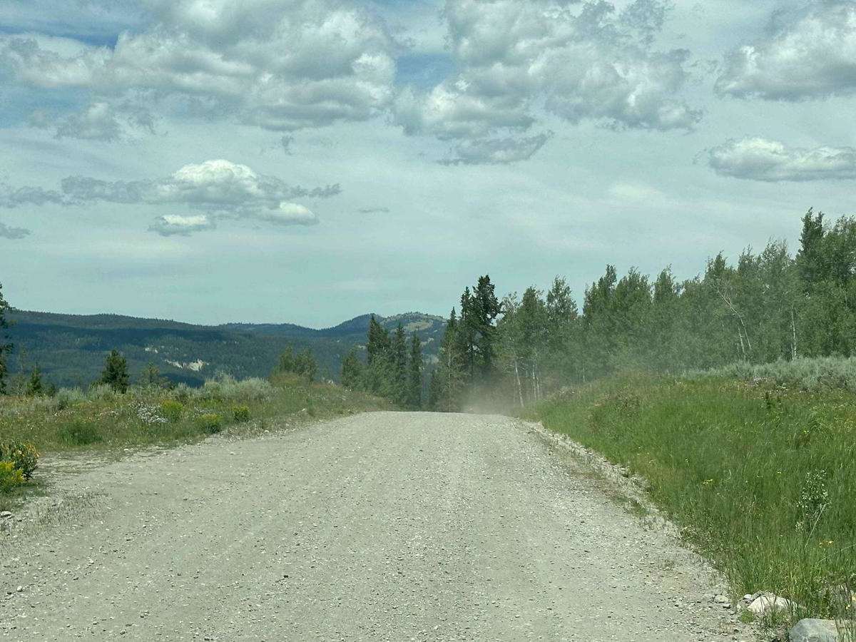 Fourmile Meadow photo 4