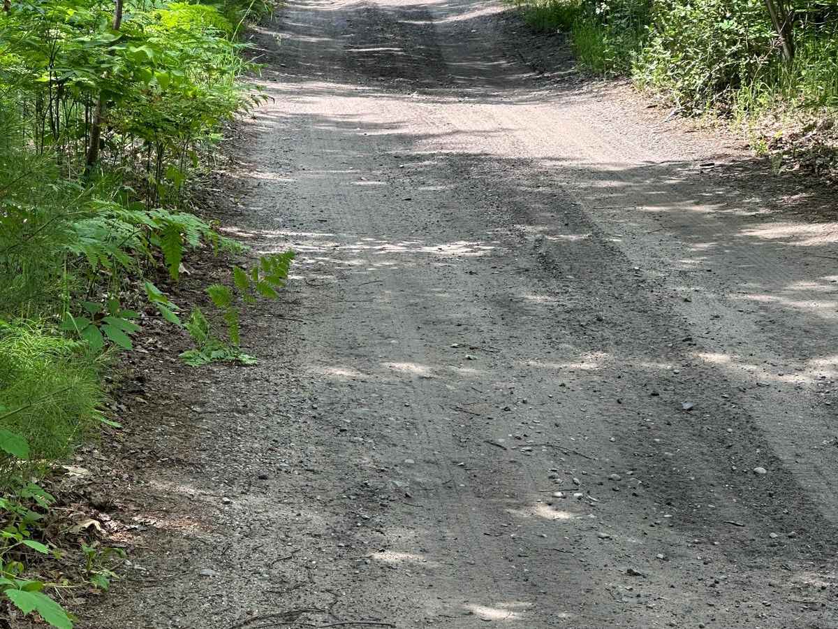 Rail Trail Part 1 photo 4