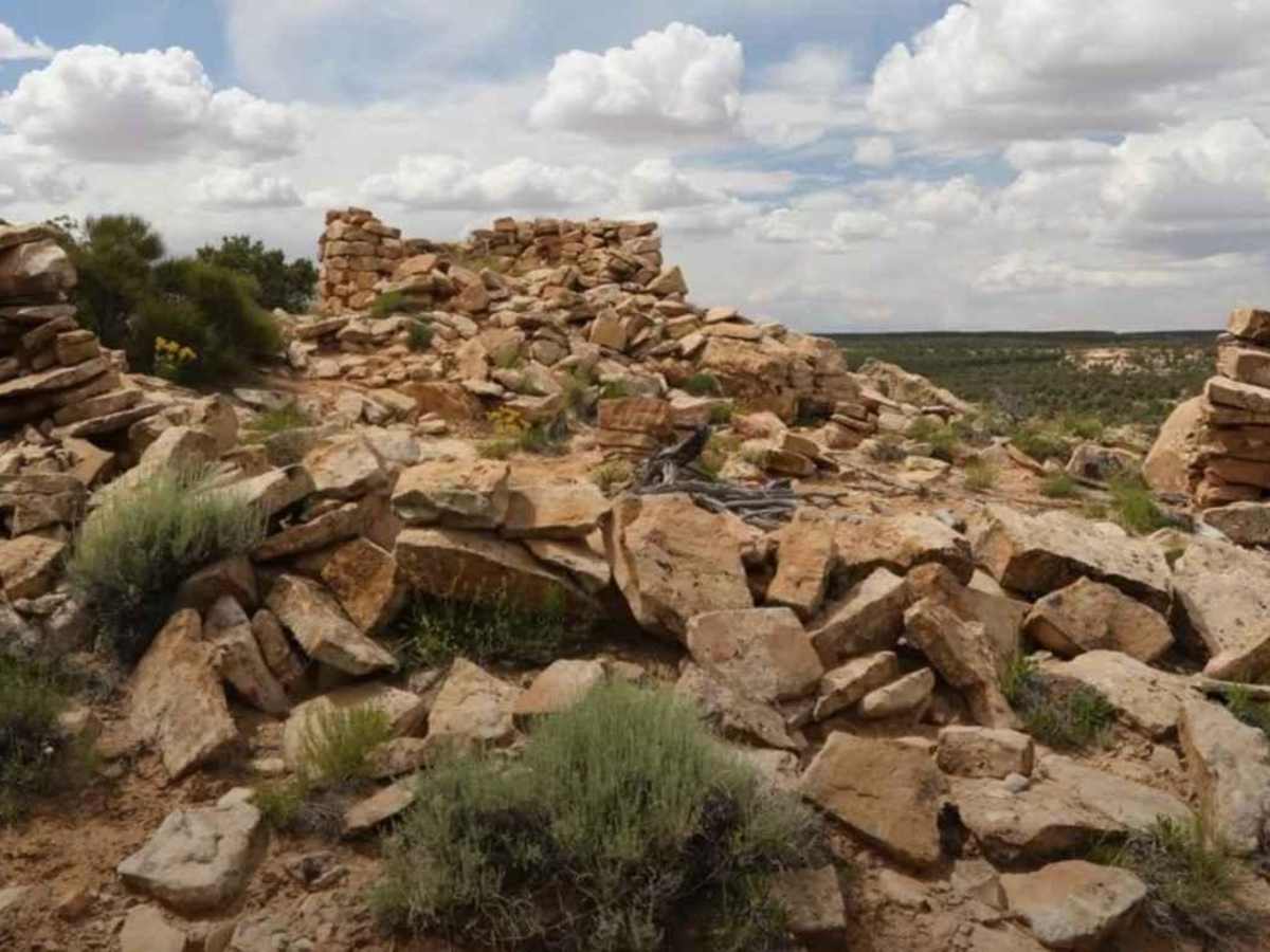 BLM B0057 - Lime Butte Ruins trail photo