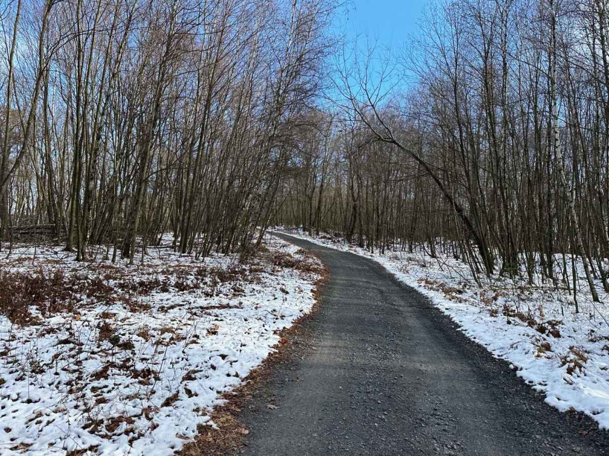 Locust Gap 32 photo 5