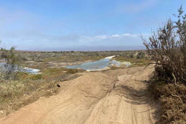 Laguna Figueroa