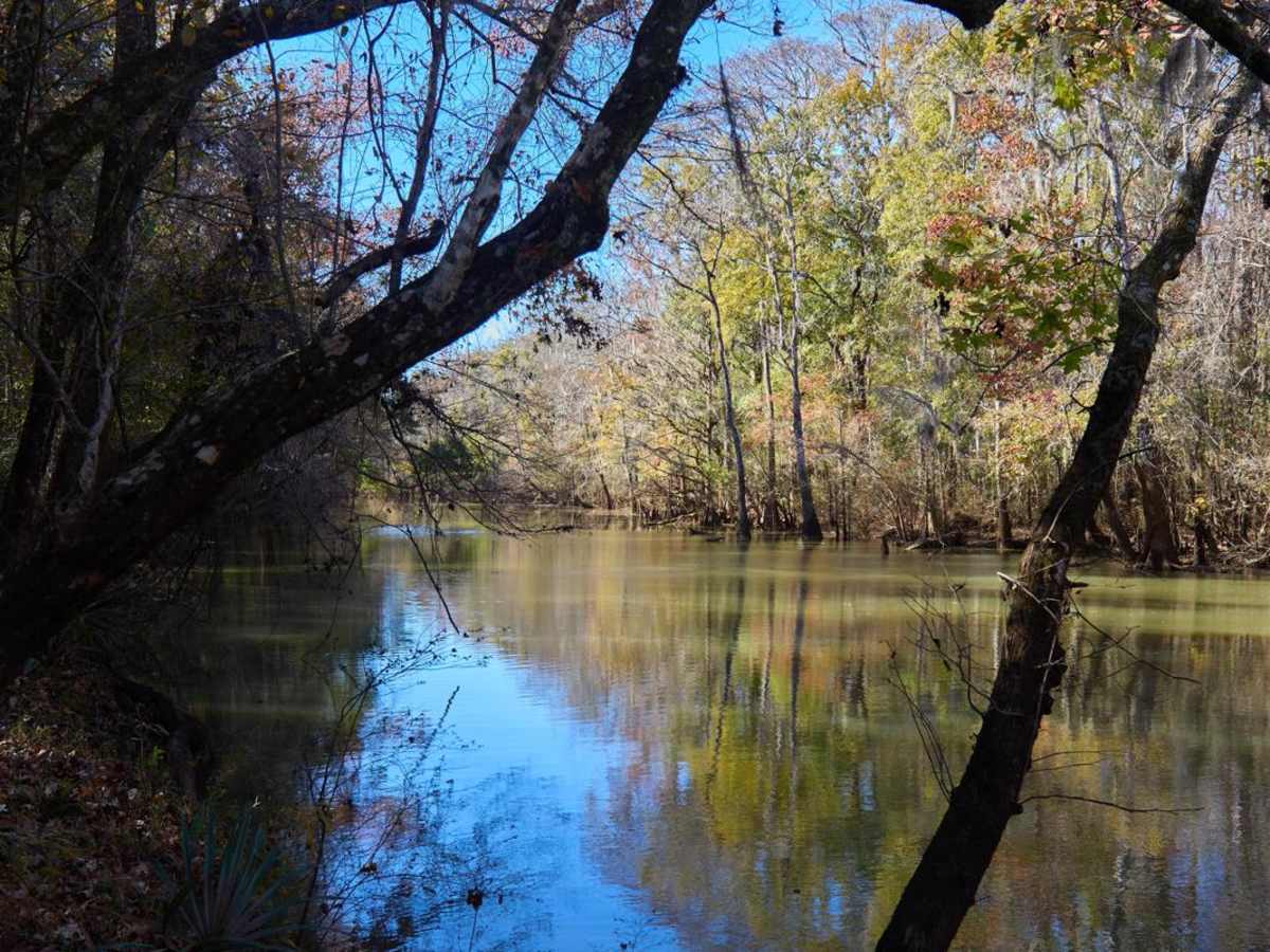 Chicken Creek Access - FSR 204B photo 3