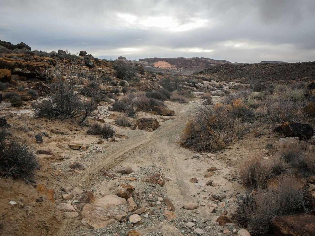 Cedar Mountain photo 3
