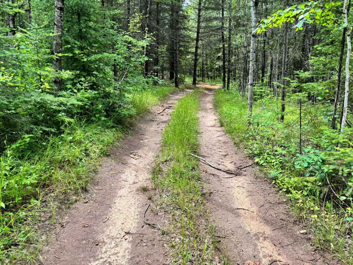 Camper Trail photo 3
