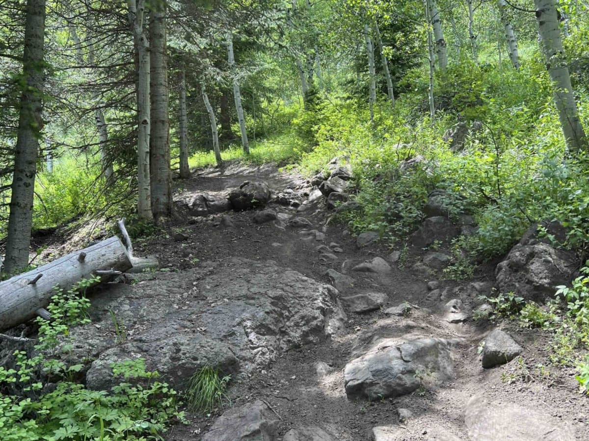 Camp Hollow photo 5