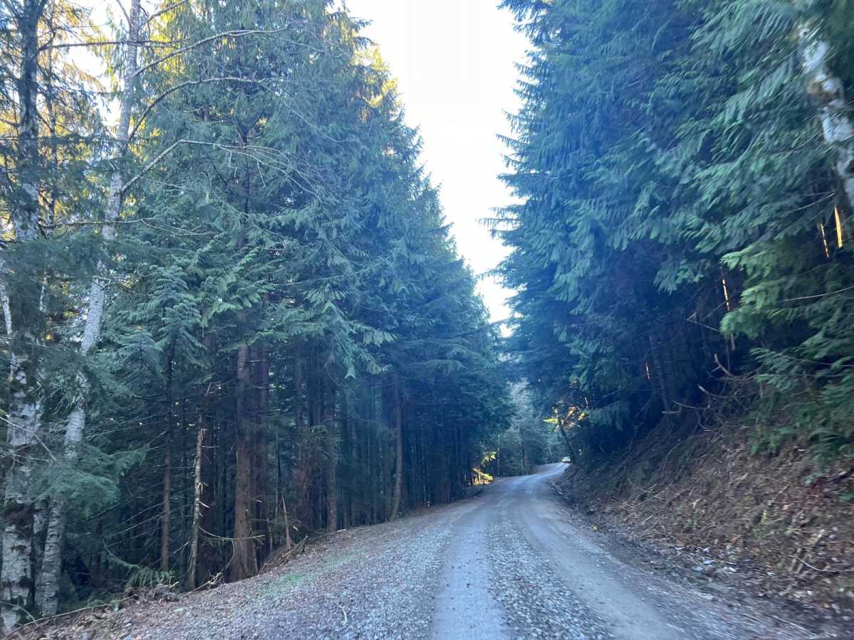 TUPSO Pass Mountain Stroll photo 2