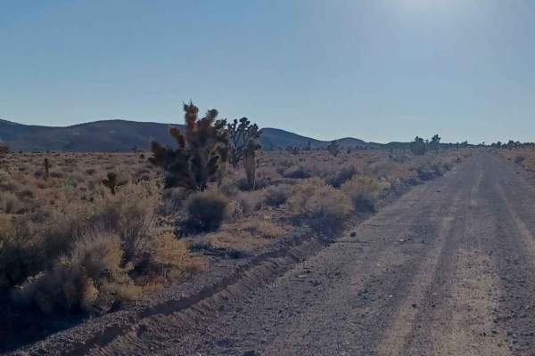 Cyanide Road