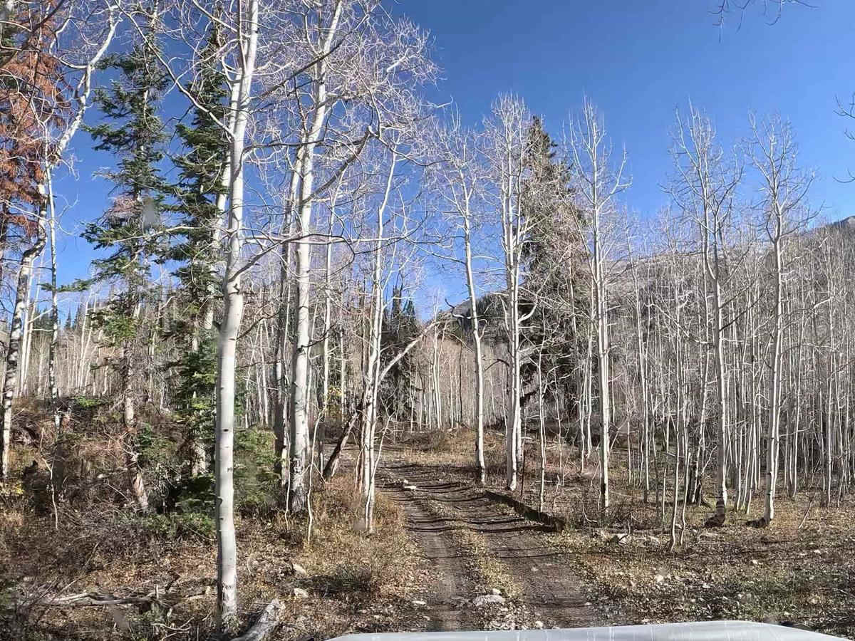FS 51303 Six Mile Lower Pond Trail photo 5