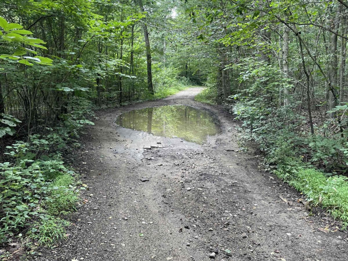 Tower Hill Road to Spruce Ledge Road photo 3