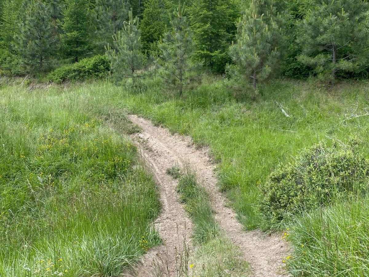 Ruby Creek C photo 4