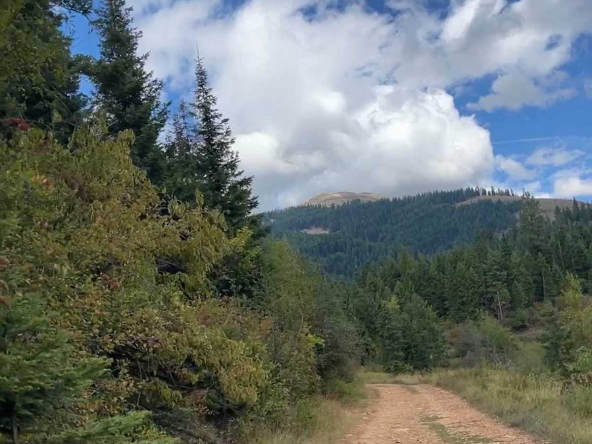 Saint Joe Baldy photo 2