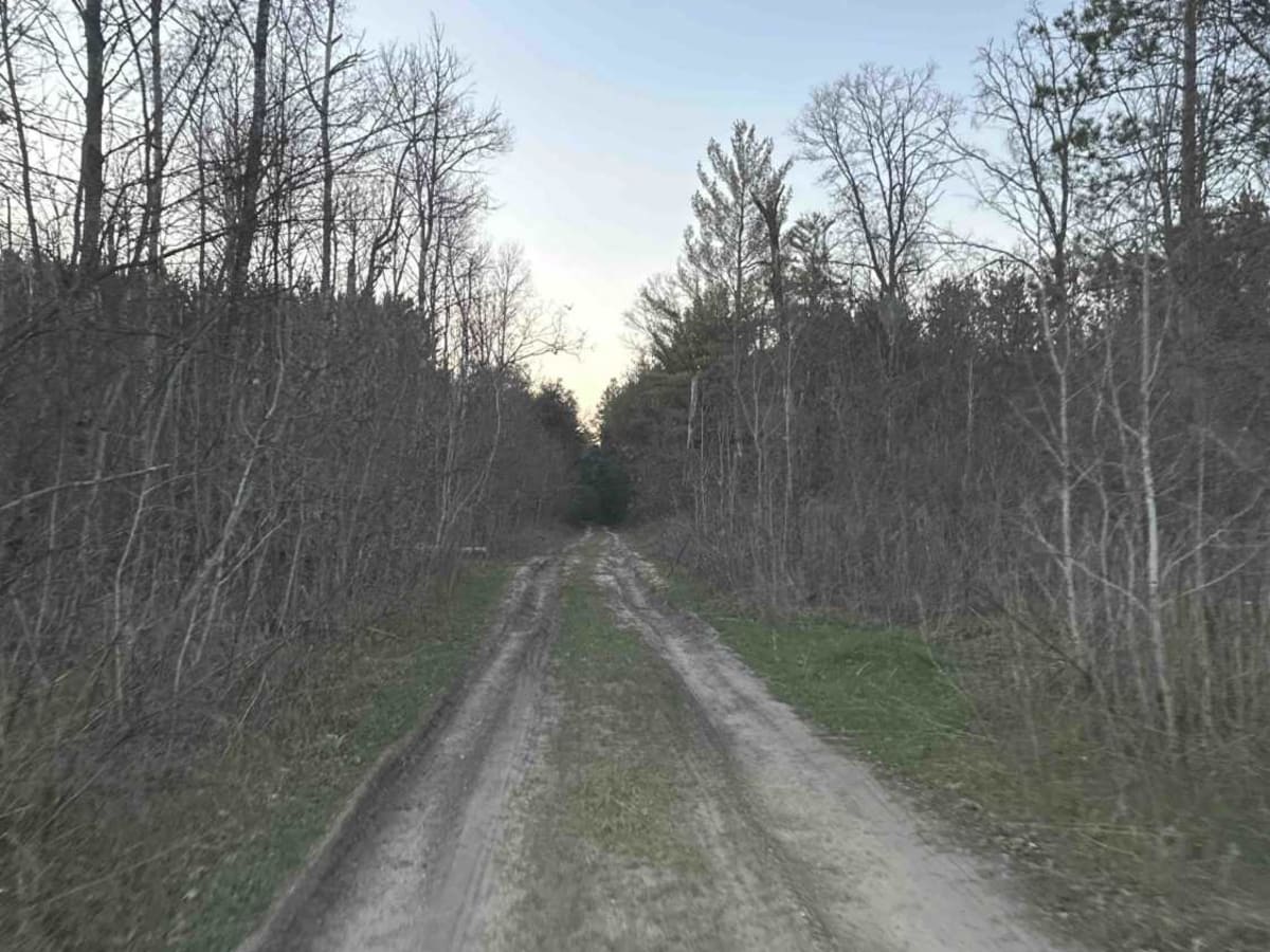 FS 4517 photo 6
