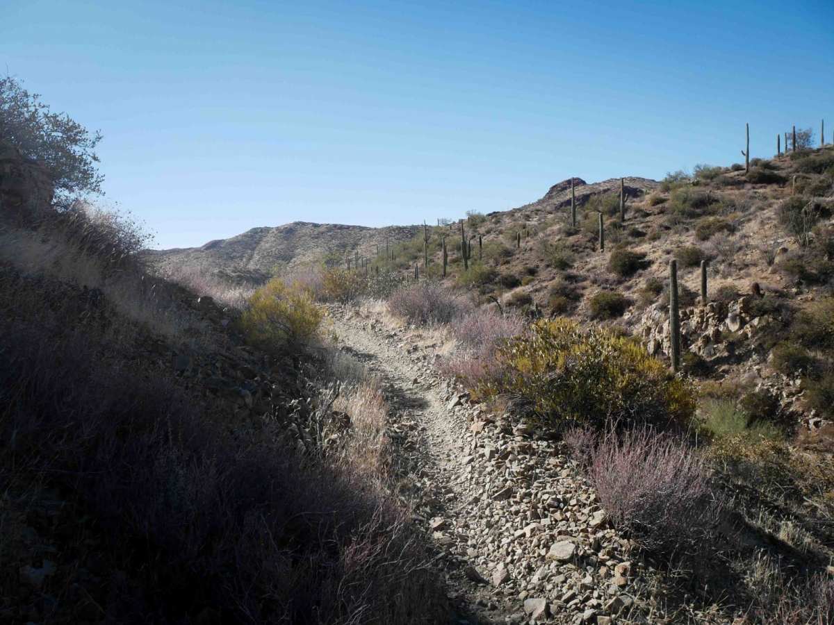 Desert Singletrack photo 3
