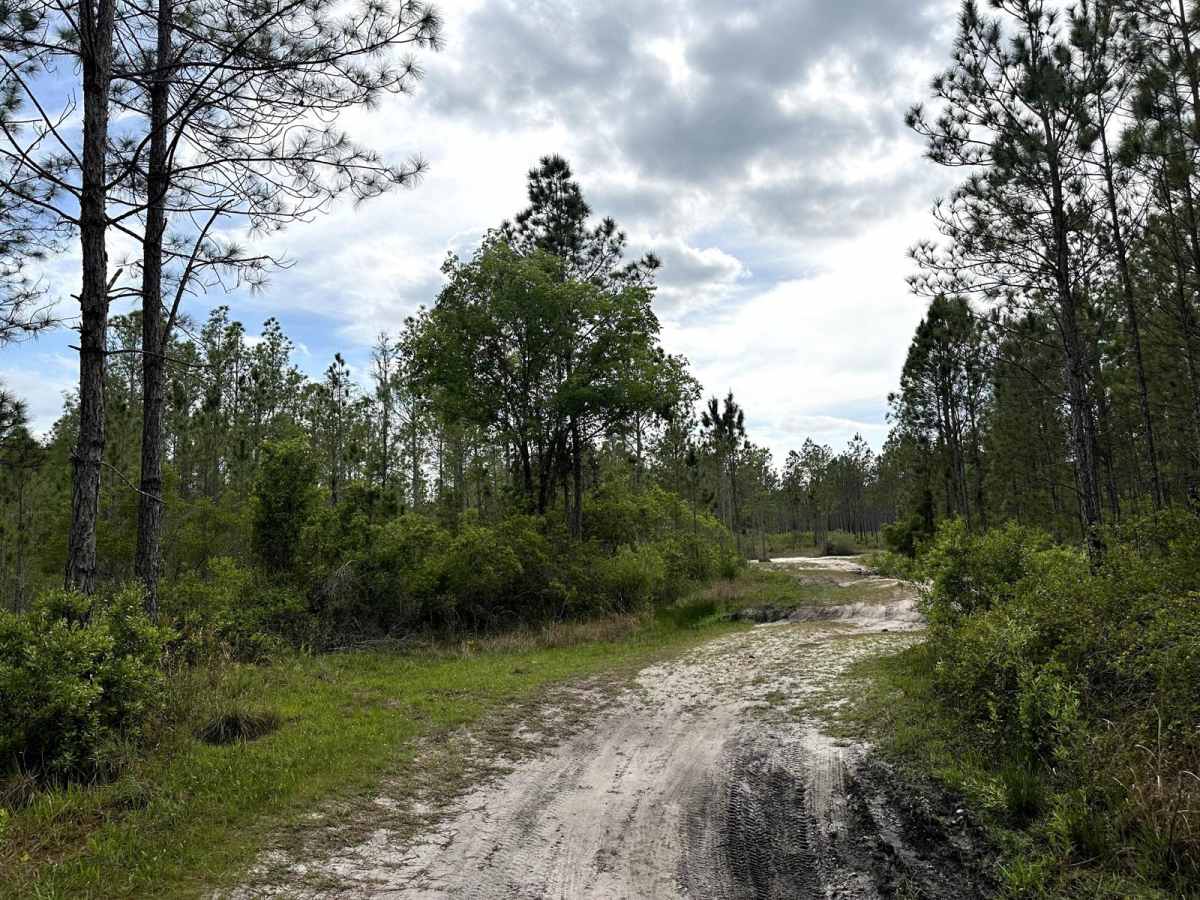 Richloam Wildlife Management Area SE Quarter Infinity Loop photo 4