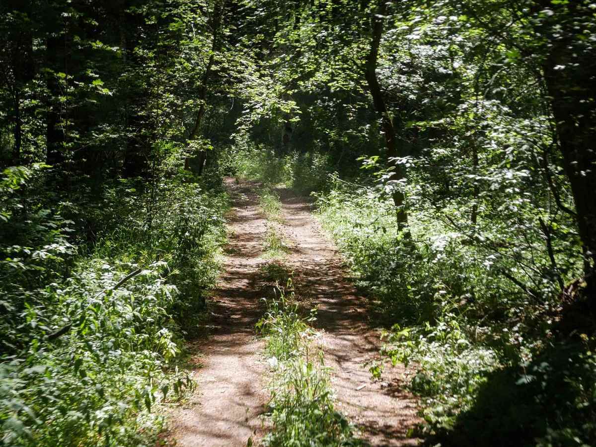 Slate Trail #3119  photo 3