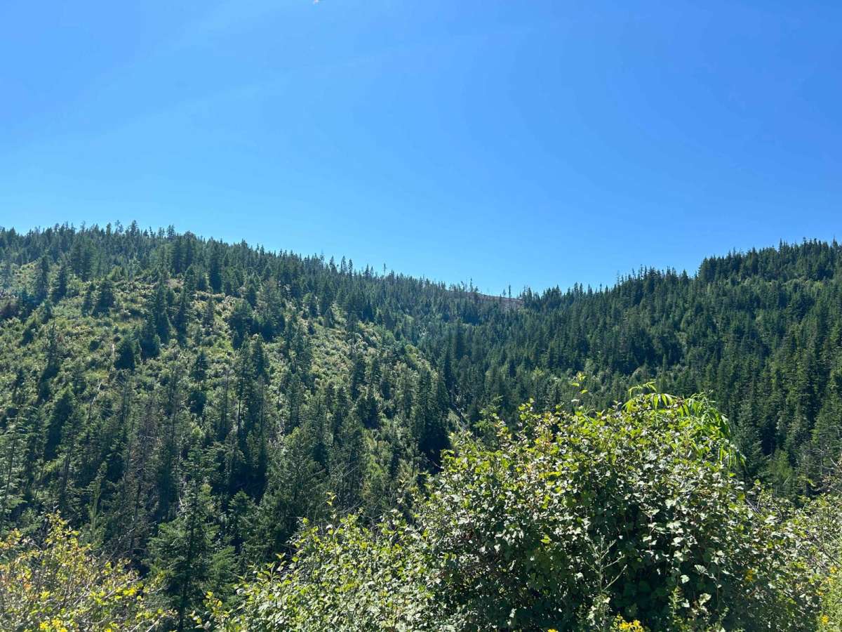 Frost Peak photo 3