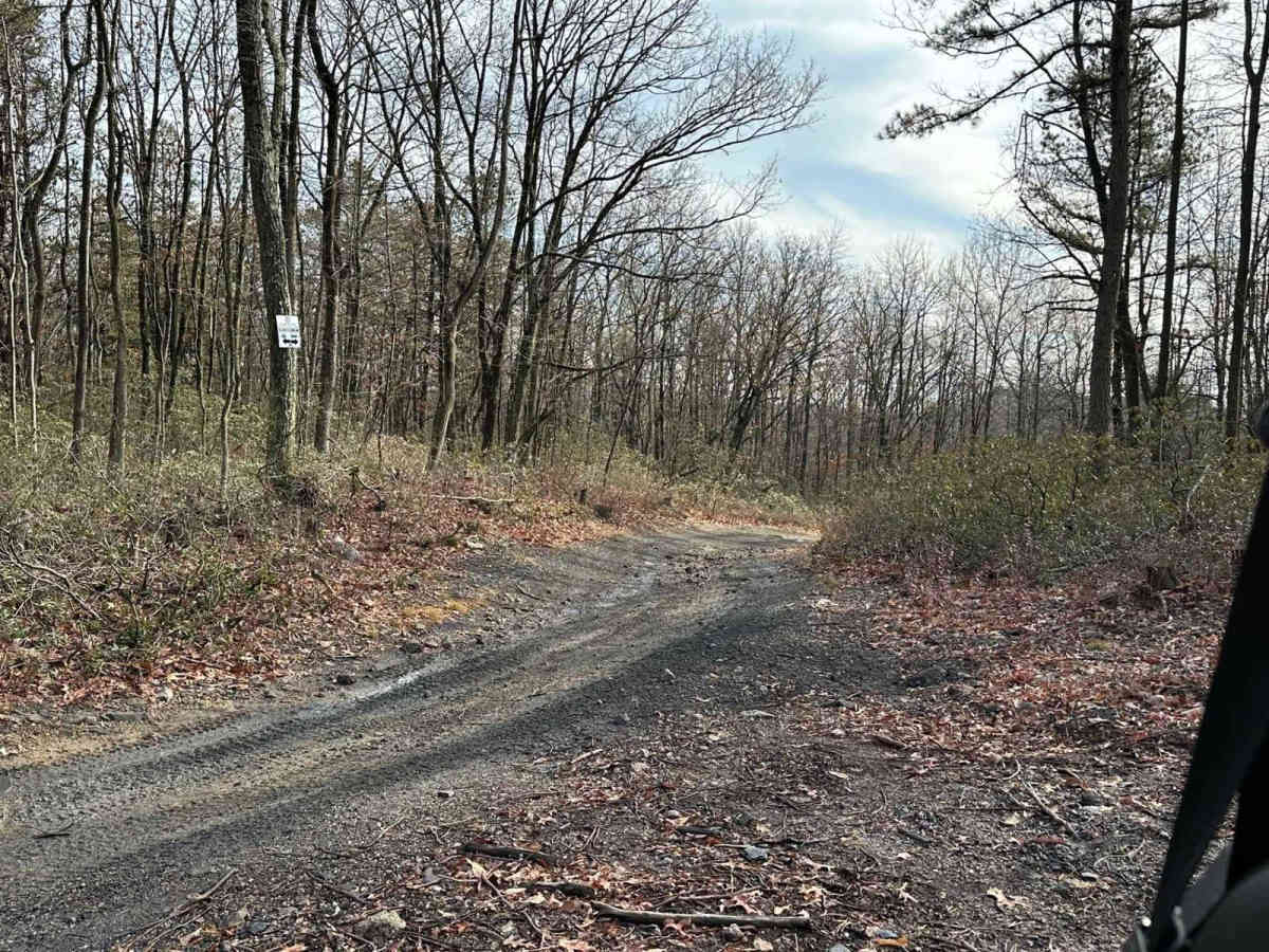 Darkwater 91 trail photo