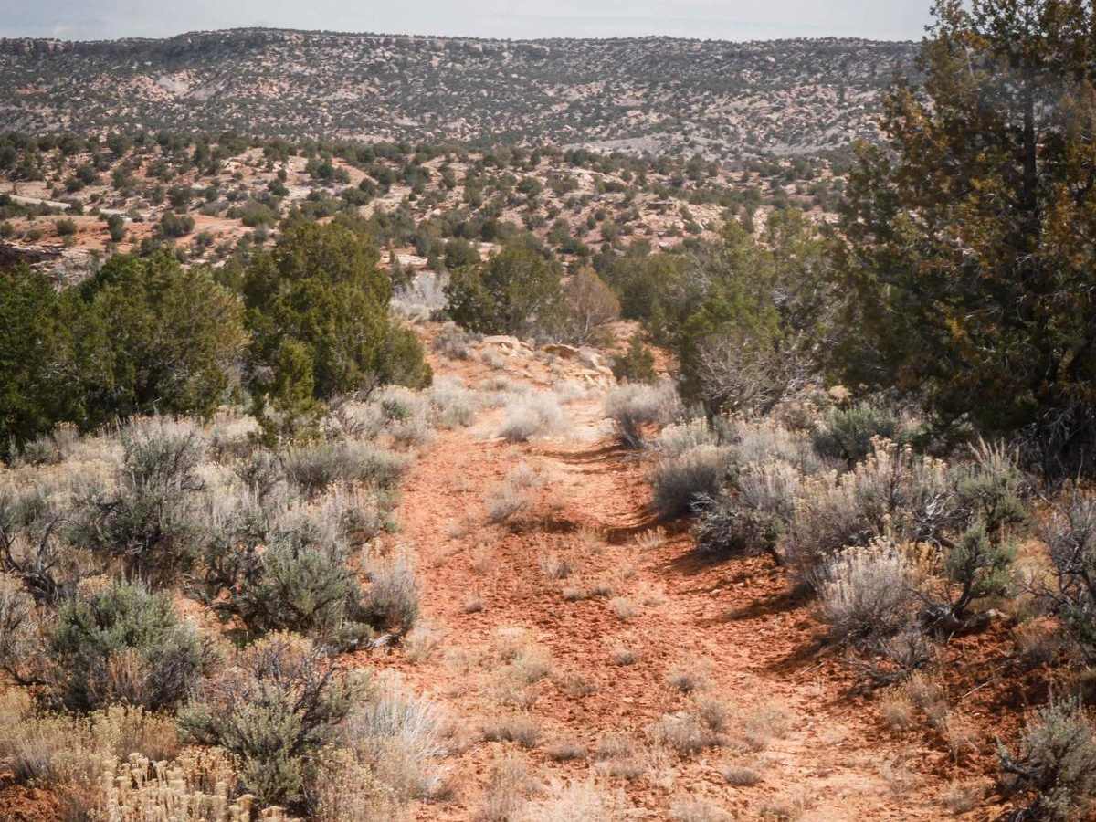 Cottonwood Creek photo 6