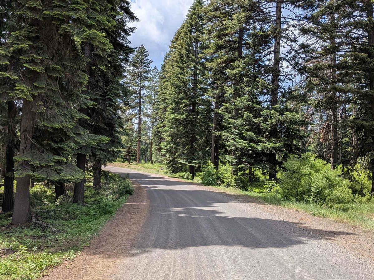 Wellamockin Road North NF46 trail photo