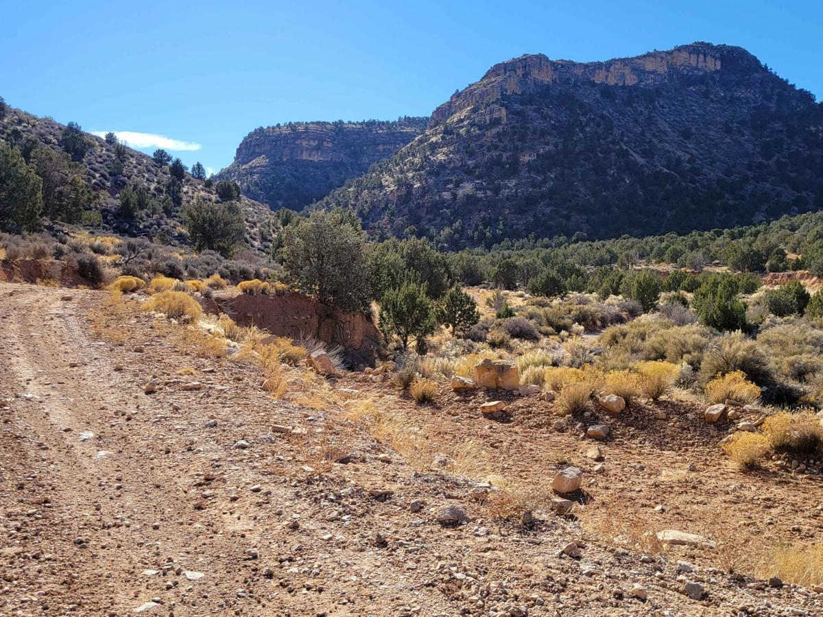 Hidden Canyon Road East - BLM 1003 photo 3