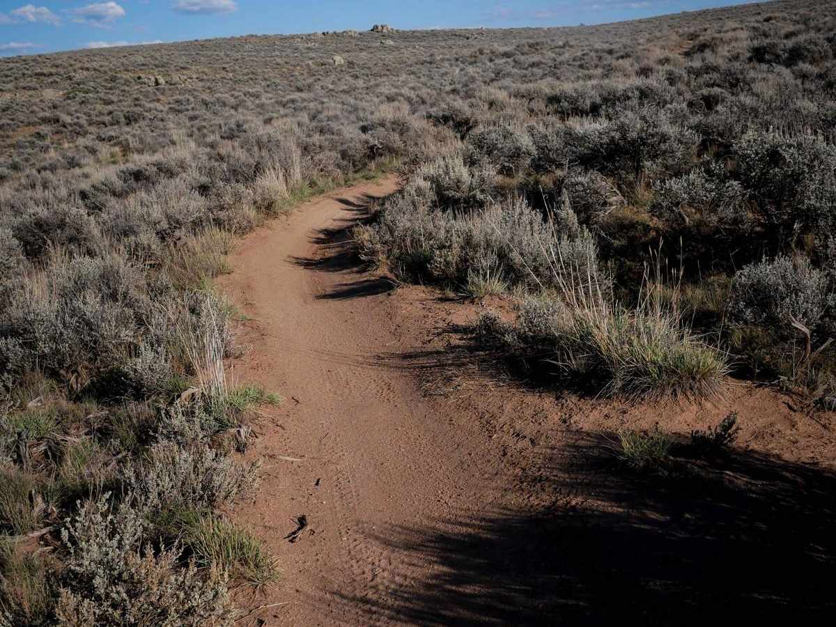Evans Loop photo 4