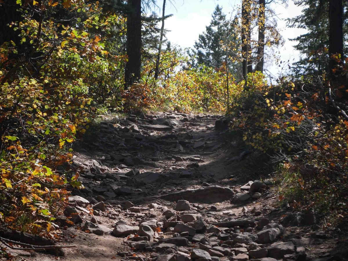 Chris Mountain photo 2