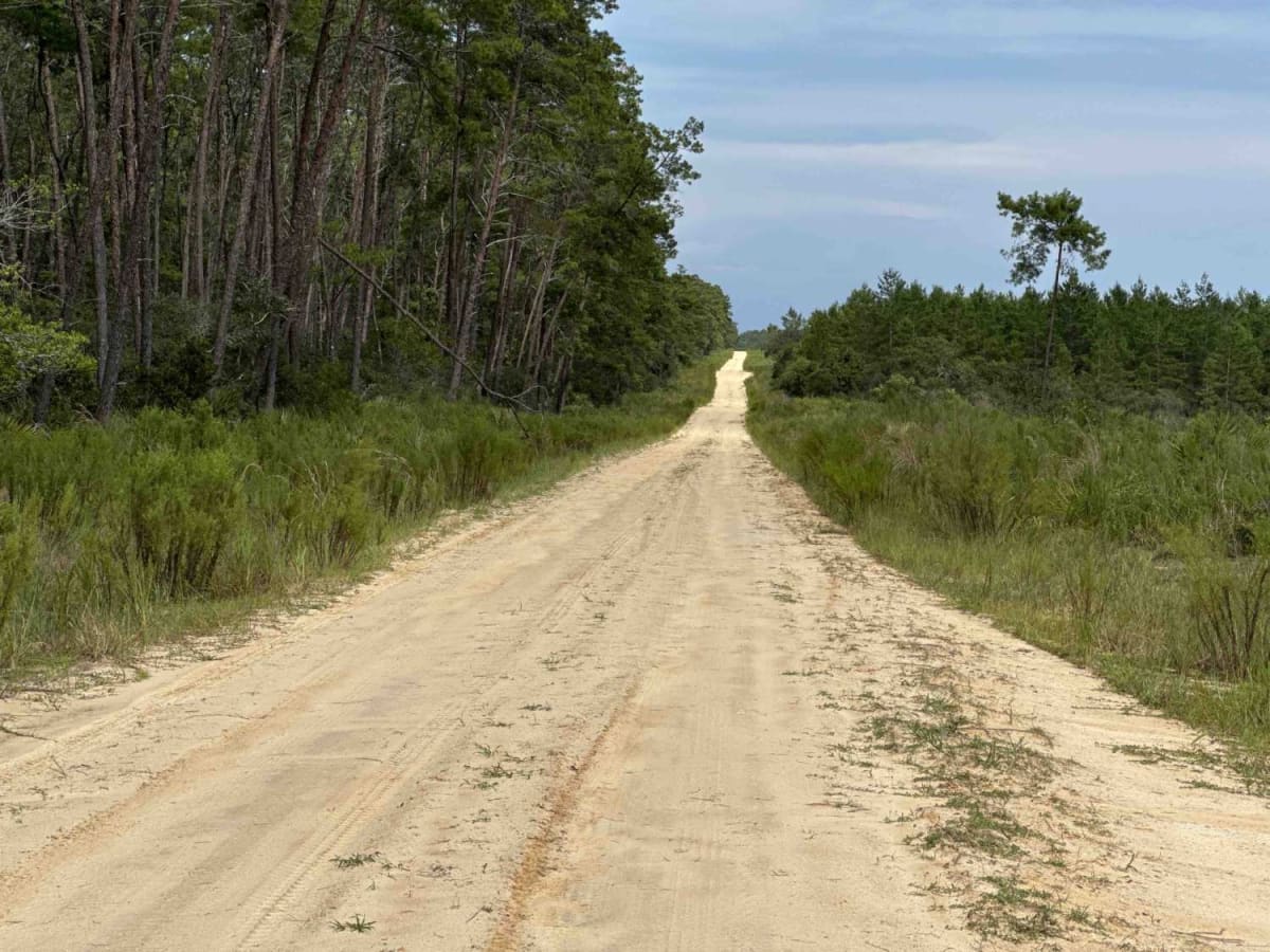 Barbarossa Trail - ONF 54 photo 6