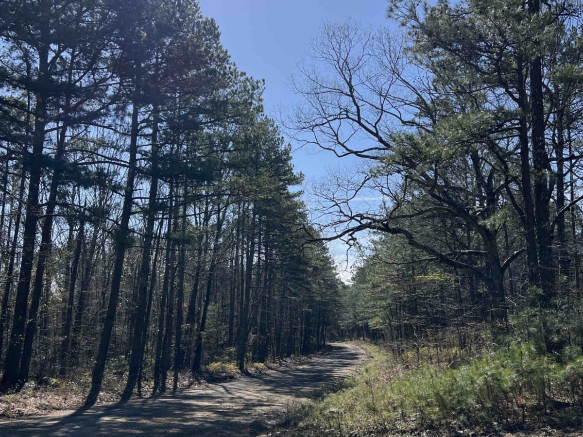Cheyenne Road photo 6