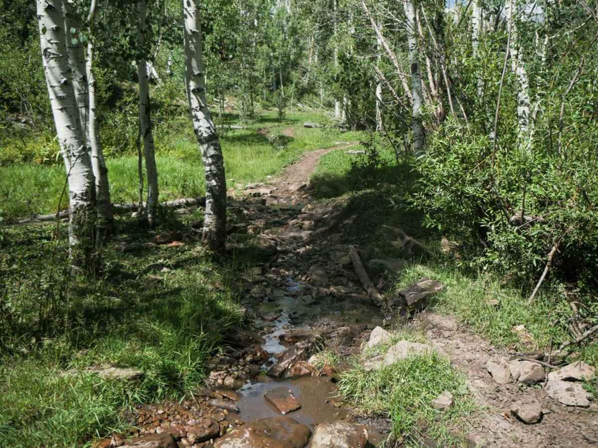 Morrison Trail (Part 2) photo 5