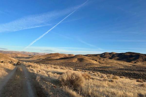Wildhorse Track