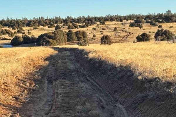 Cattle Run Pass