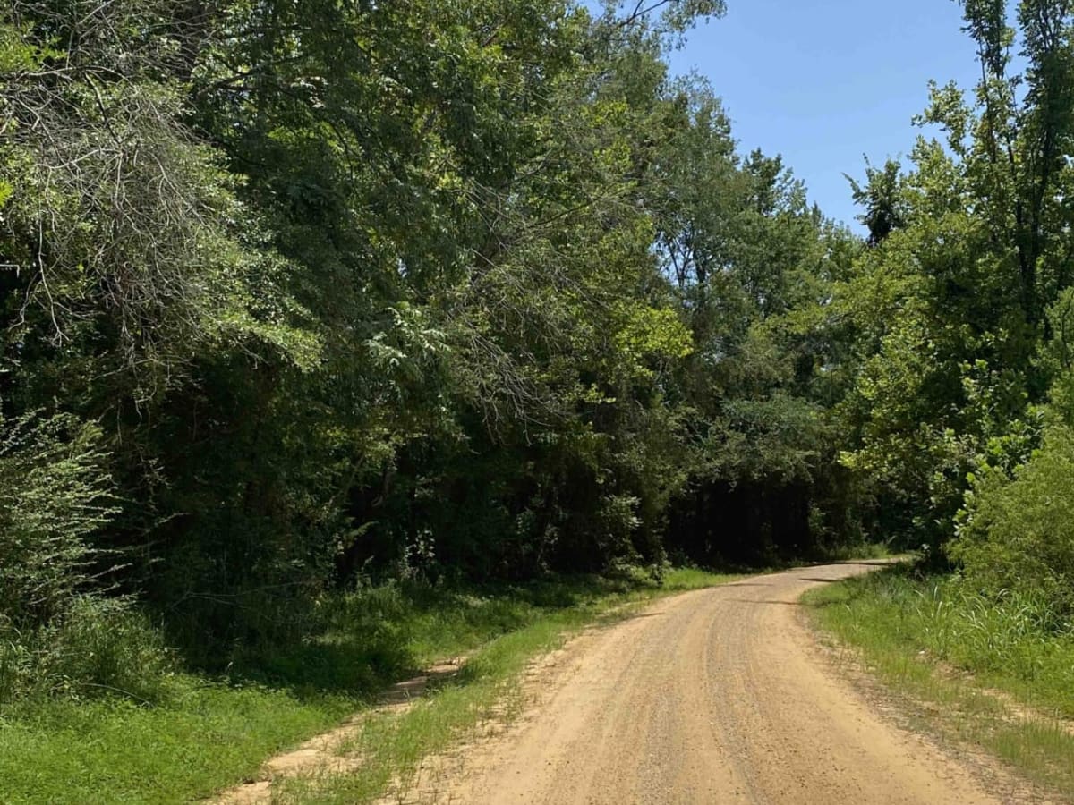 Jake Creel Road photo 2