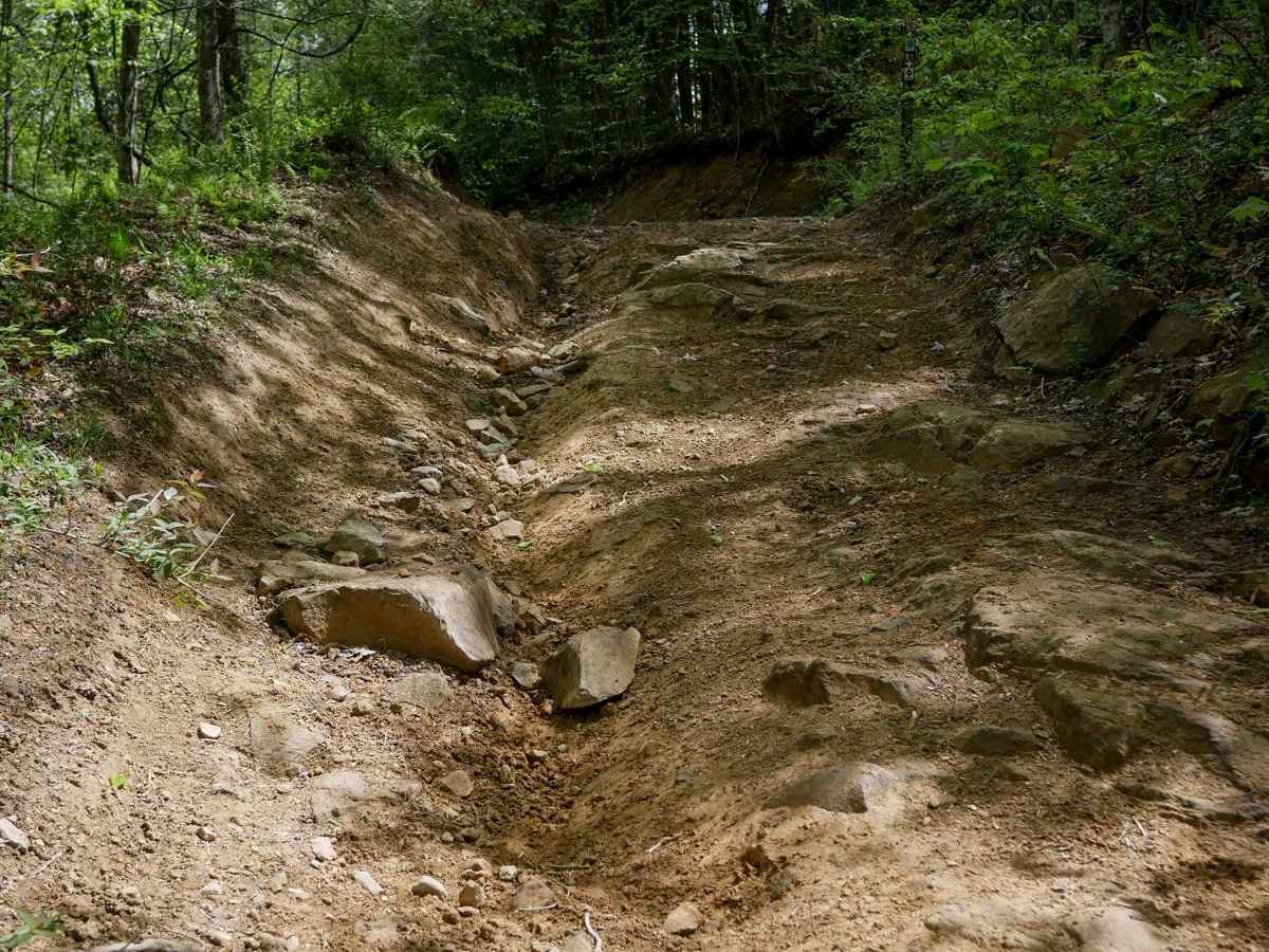 PC 52 trail photo